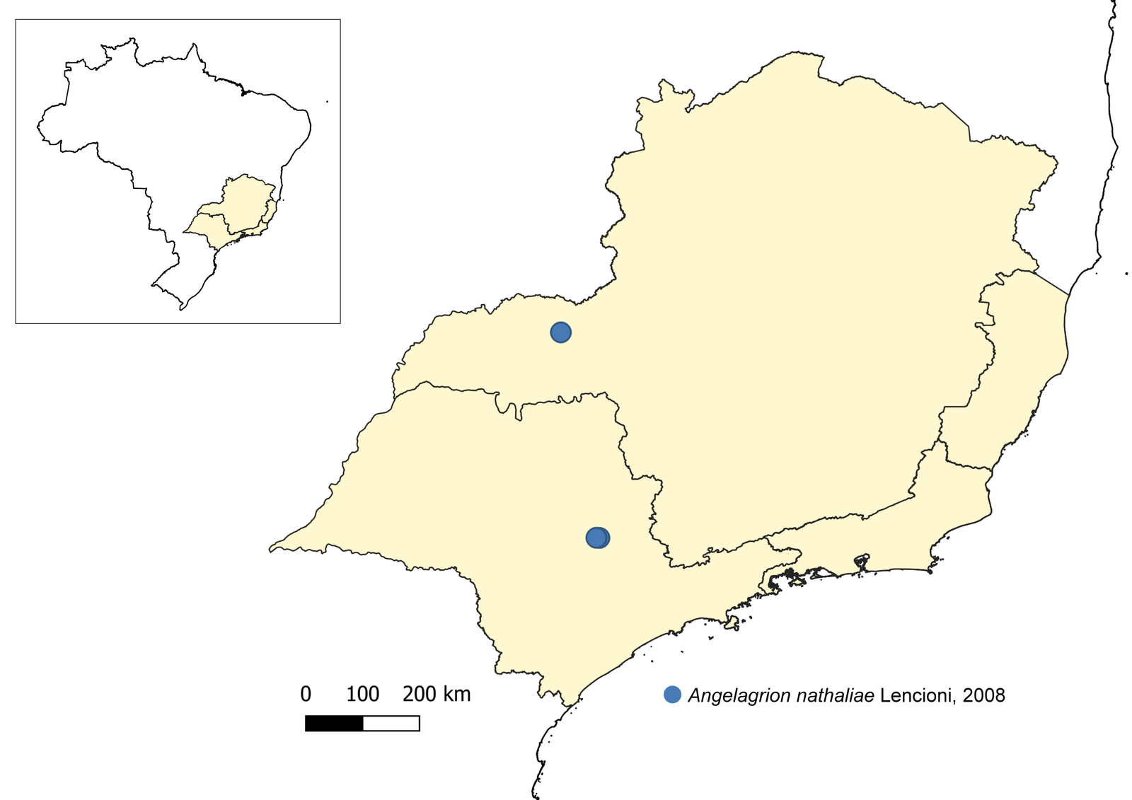 Distribuição conhecida de Angelagrion nathaliae
