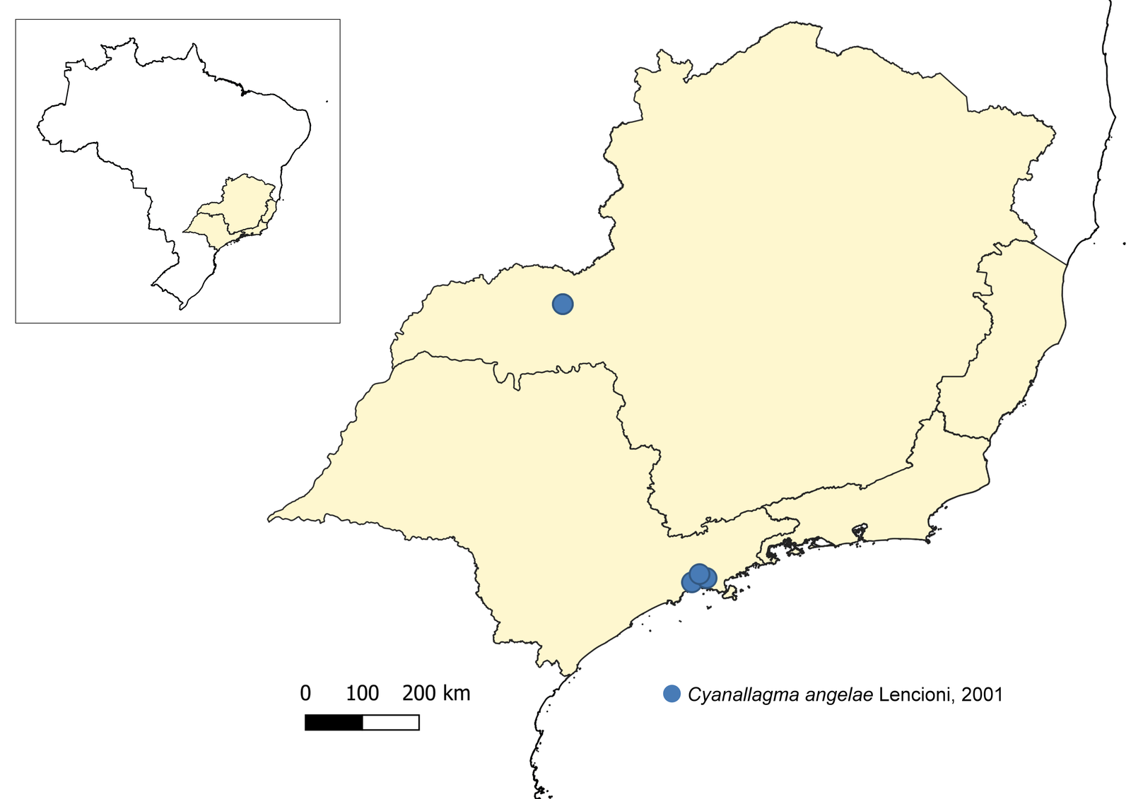 Distribuição conhecida de Cyanallagma angelae