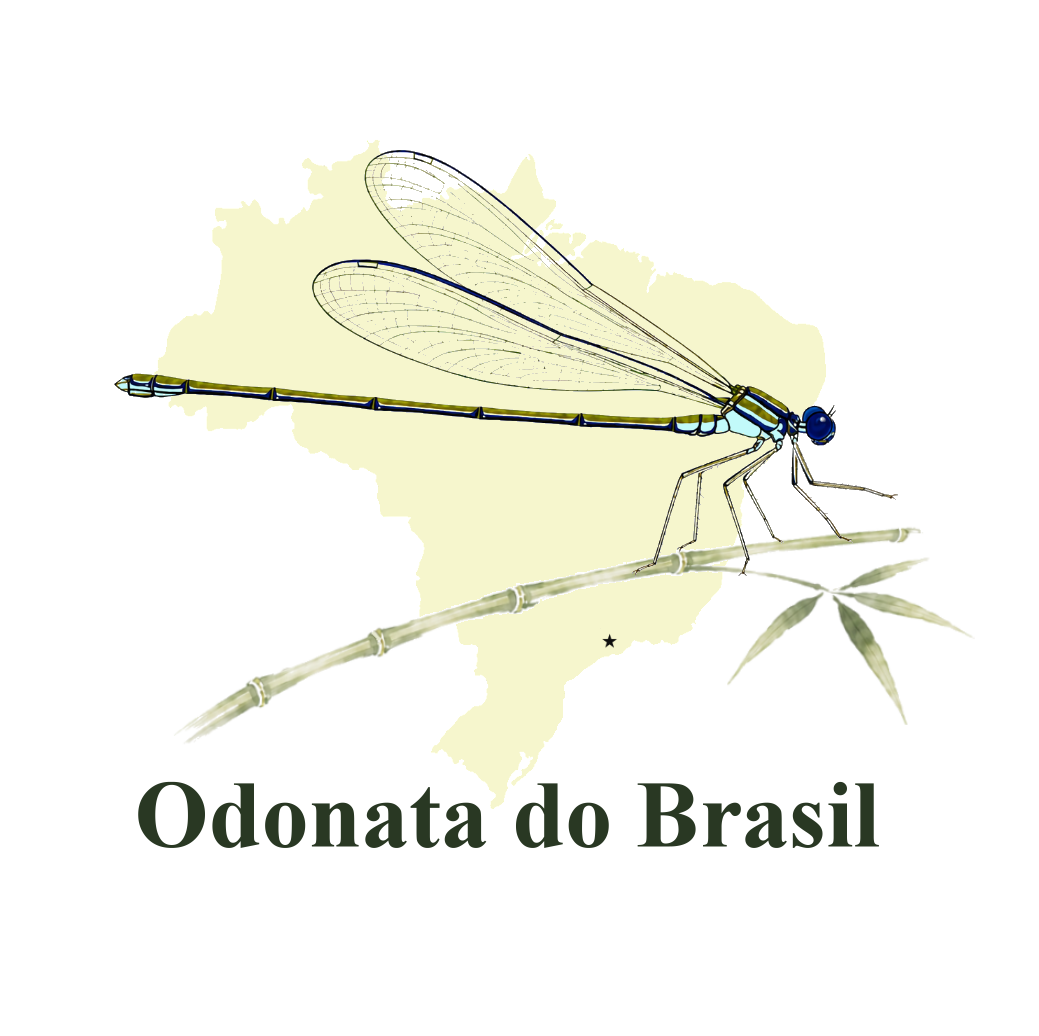 Logotipo Odonata do Brasil