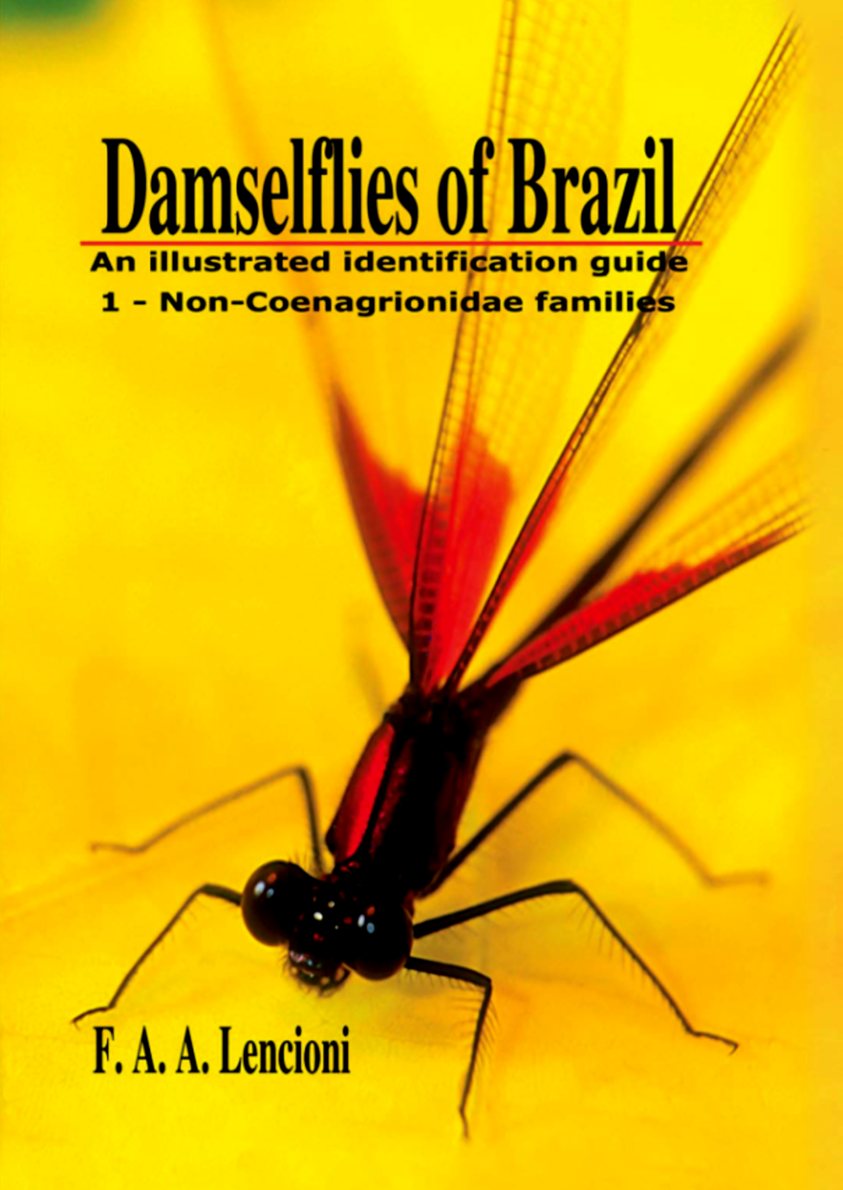 Capa do livro Damselflies of Brazil Volume 1