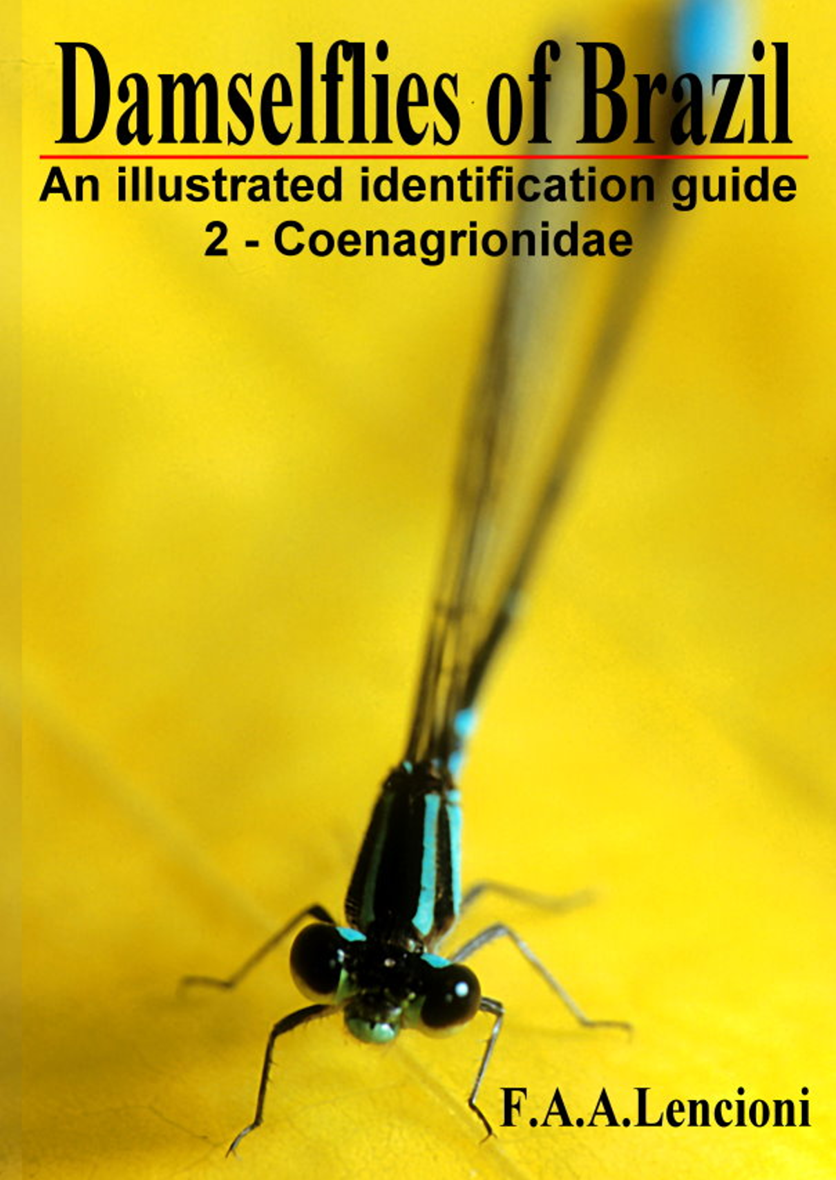 Capa do livro Damselflies of Brazil Volume 2