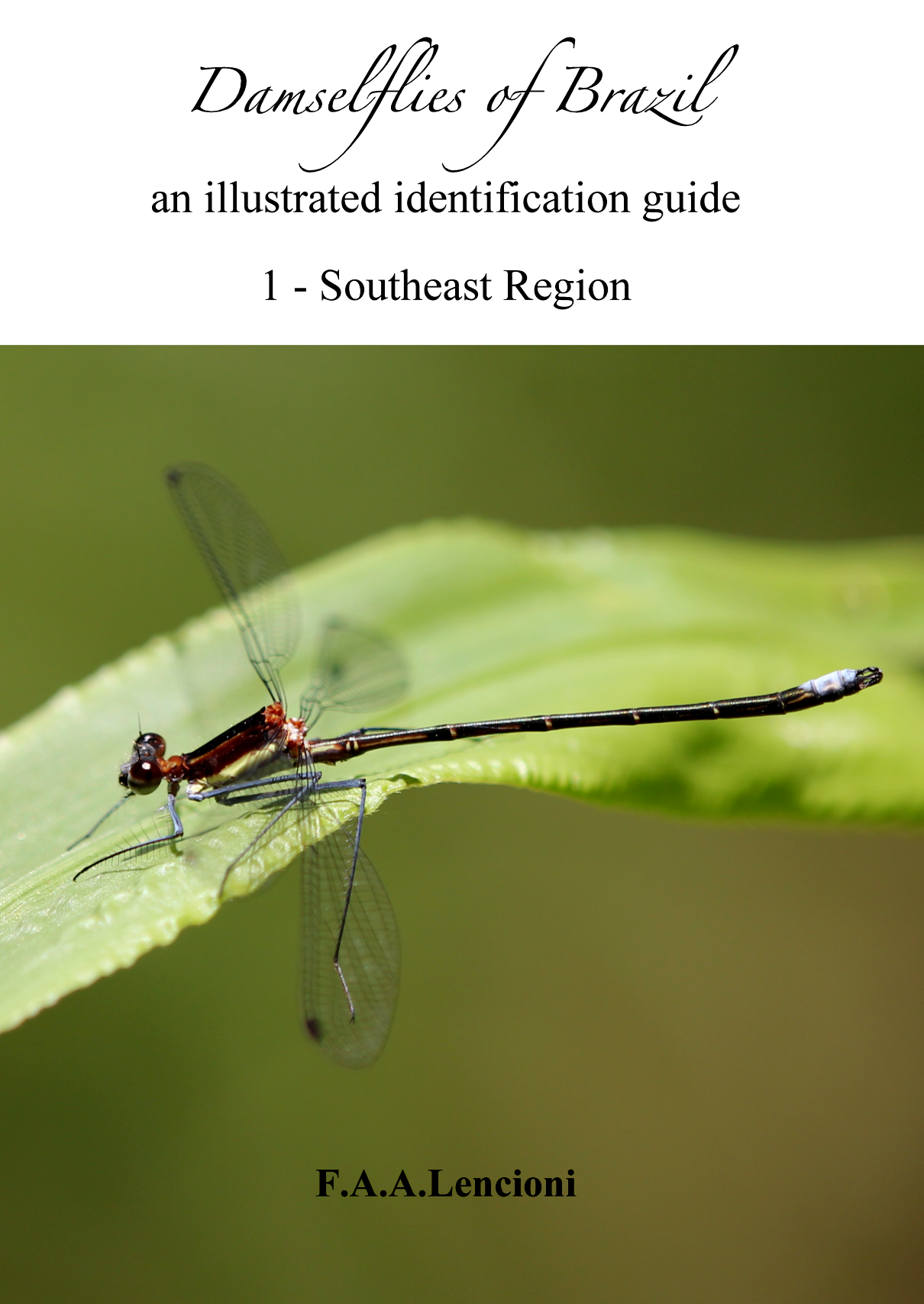 Capa do livro Damselflies of Brazil Southeast Region